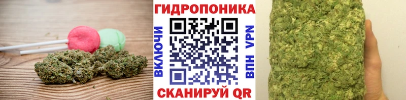Cannafood конопля  Сарапул 