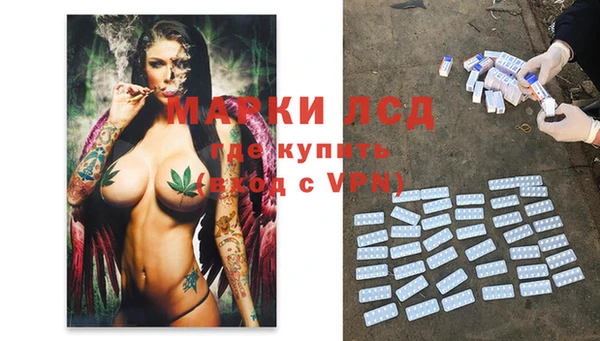 винт Аркадак