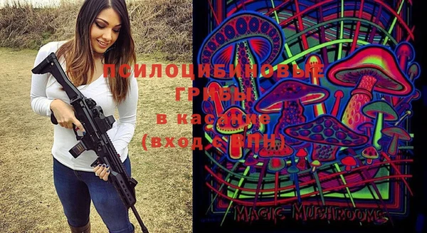 винт Аркадак