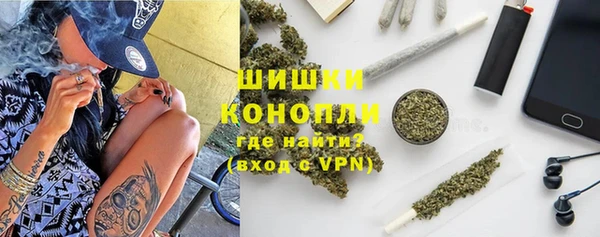 стаф Арсеньев